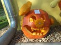 DSCF2739 DSCF2739