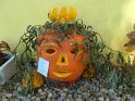 DSCF2743 DSCF2743