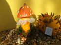 DSCF2749 DSCF2749