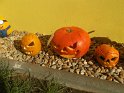 DSCF2751 DSCF2751