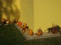 DSCF2757 DSCF2757
