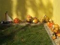DSCF2758 DSCF2758