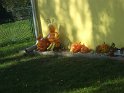 DSCF2759 DSCF2759