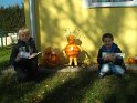 DSCF2762 DSCF2762