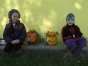 DSCF2768 DSCF2768