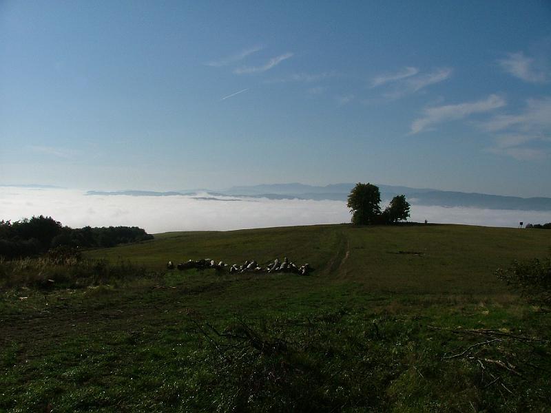 snimka16