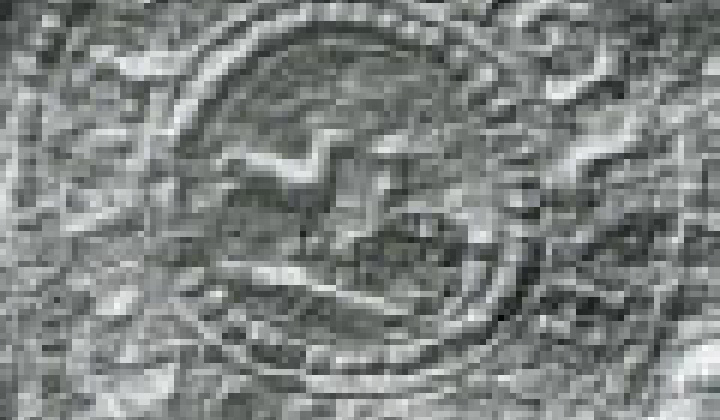 7. fotografia fotogalérie História