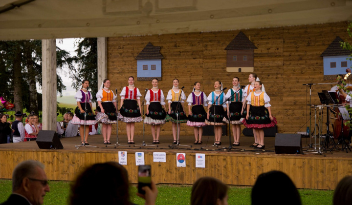 29. fotografia fotogalérie Kultura / Folklórne slávnosti Hankovce 2024 - foto