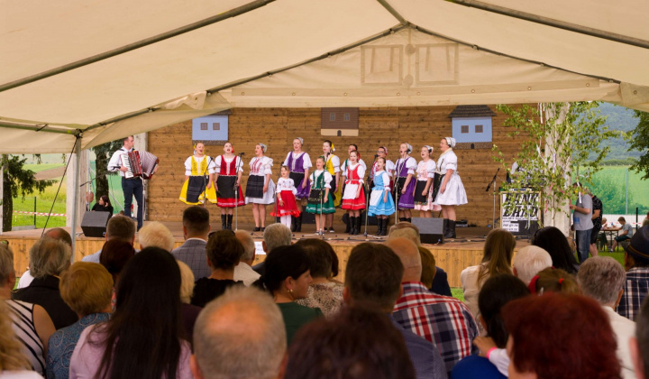 67. fotografia fotogalérie Kultura / Folklórne slávnosti Hankovce 2024 - foto