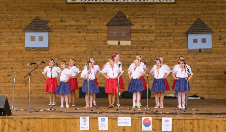 78. fotografia fotogalérie Kultura / Folklórne slávnosti Hankovce 2024 - foto