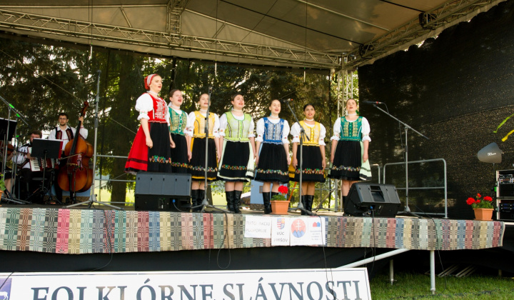 6. fotografia fotogalérie Kultura / Folklórne slávnosti Hankovce 2023 - foto