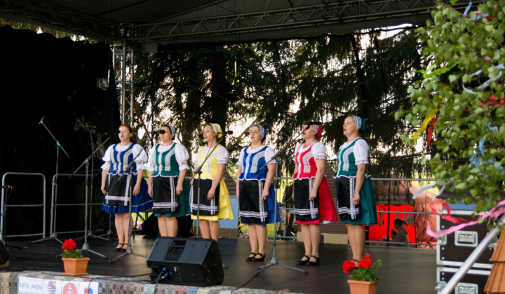 7. fotografia fotogalérie Kultura / Folklórne slávnosti Hankovce 2023 - foto