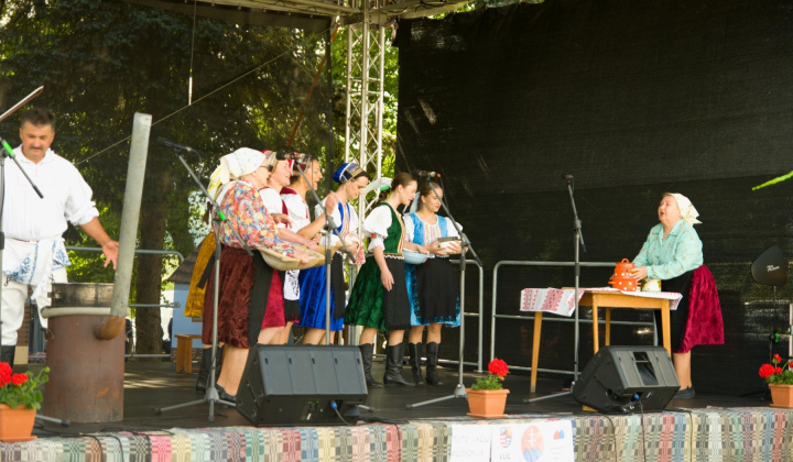19. fotografia fotogalérie Kultura / Folklórne slávnosti Hankovce 2023 - foto