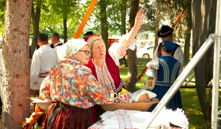 29. fotografia fotogalérie Kultura / Folklórne slávnosti Hankovce 2023 - foto