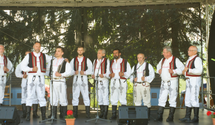 46. fotografia fotogalérie Kultura / Folklórne slávnosti Hankovce 2023 - foto