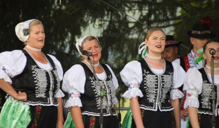 57. fotografia fotogalérie Kultura / Folklórne slávnosti Hankovce 2023 - foto