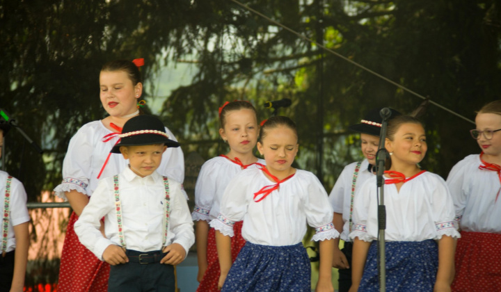 60. fotografia fotogalérie Kultura / Folklórne slávnosti Hankovce 2023 - foto