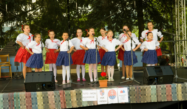 63. fotografia fotogalérie Kultura / Folklórne slávnosti Hankovce 2023 - foto