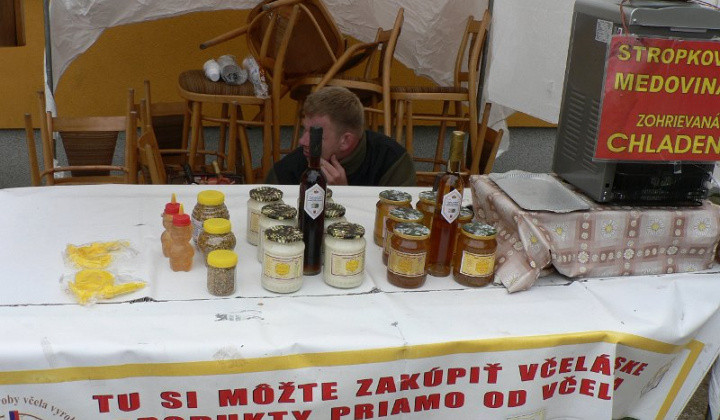 19. fotografia fotogalérie Folklorne slavnosti 2015