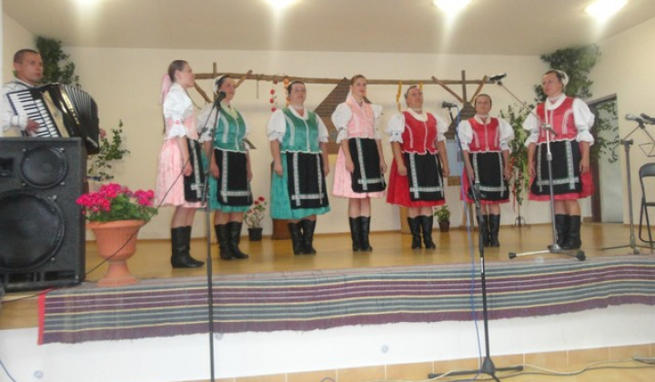 12. fotografia fotogalérie Folklorne slavnosti Hankovce 2013