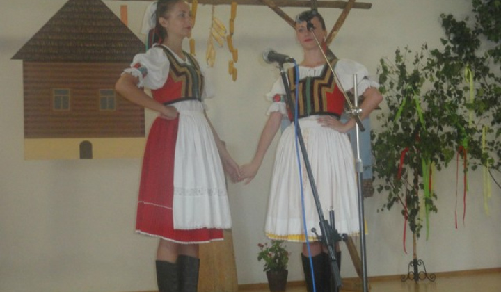 14. fotografia fotogalérie Folklorne slavnosti Hankovce 2013