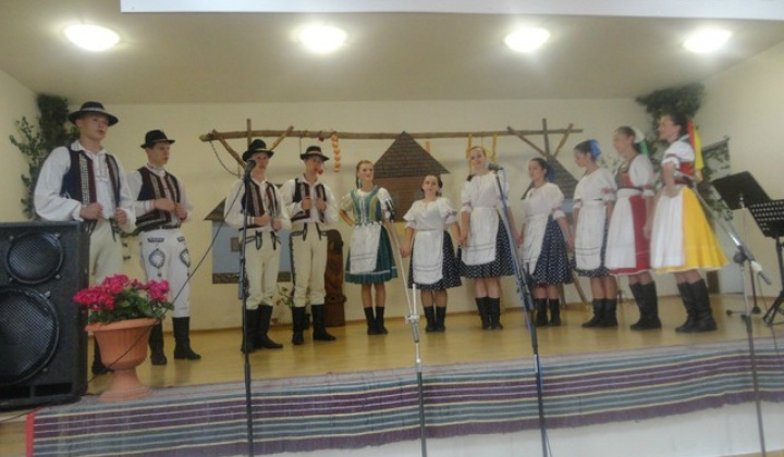 15. fotografia fotogalérie Folklorne slavnosti Hankovce 2013