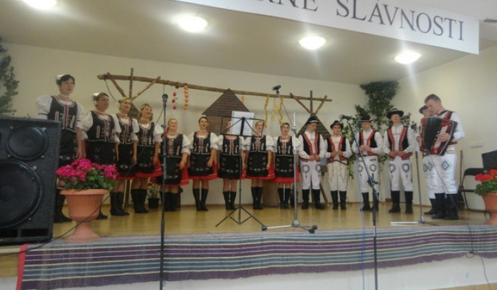 17. fotografia fotogalérie Folklorne slavnosti Hankovce 2013