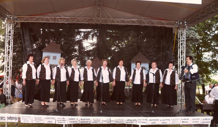 18. fotografia fotogalérie Folklorne slavnosti Hankovce 2014