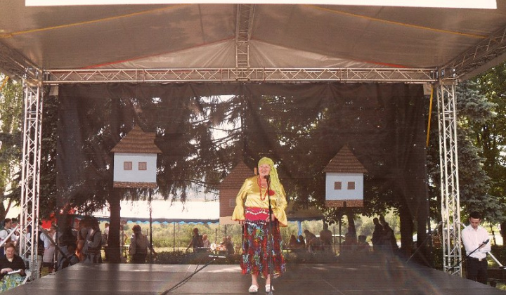 19. fotografia fotogalérie Folklorne slavnosti Hankovce 2014