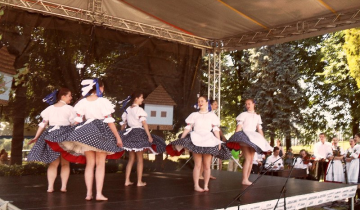 20. fotografia fotogalérie Folklorne slavnosti Hankovce 2014