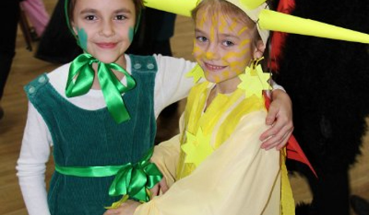 12. fotografia fotogalérie Karneval 2015