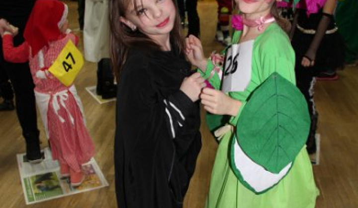 11. fotografia fotogalérie Karneval ZS 2016