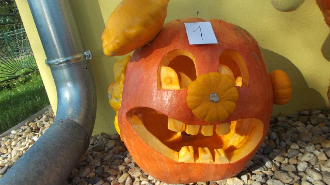 Fotografia fotogalérie Najkrajsia vyrezavana tekvica 2015