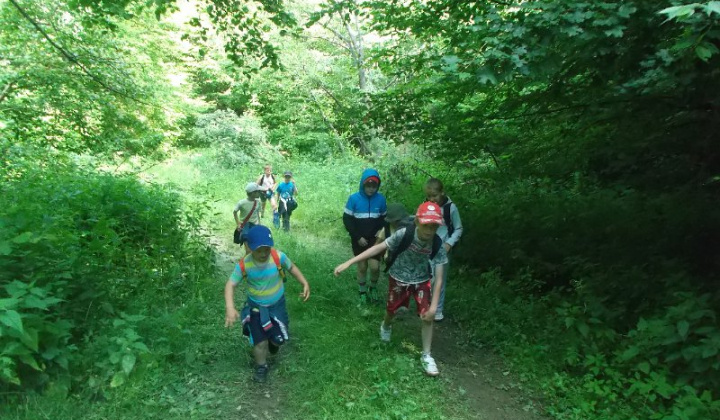 2. fotografia fotogalérie Noc v skole 2014