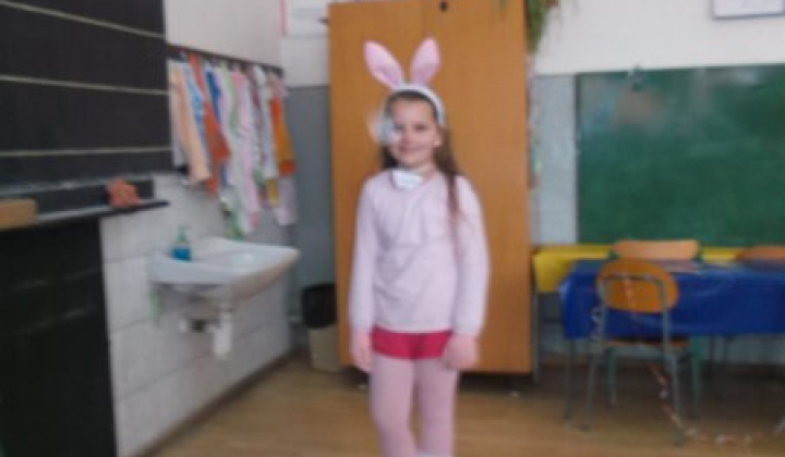 4. fotografia fotogalérie ZS akcie 20132014