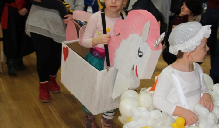 8. fotografia fotogalérie Karneval 2019