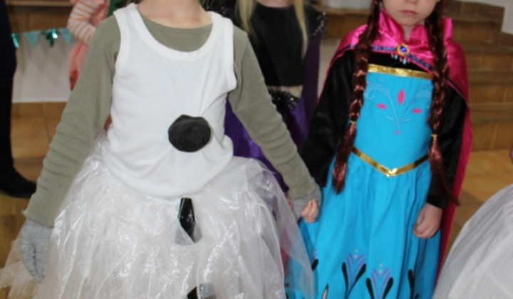 23. fotografia fotogalérie Karneval 2019