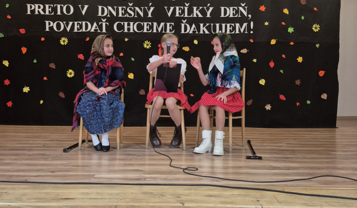 17. fotografia fotogalérie Aktuality / Október - mesiac úcty k starším 2025 - foto