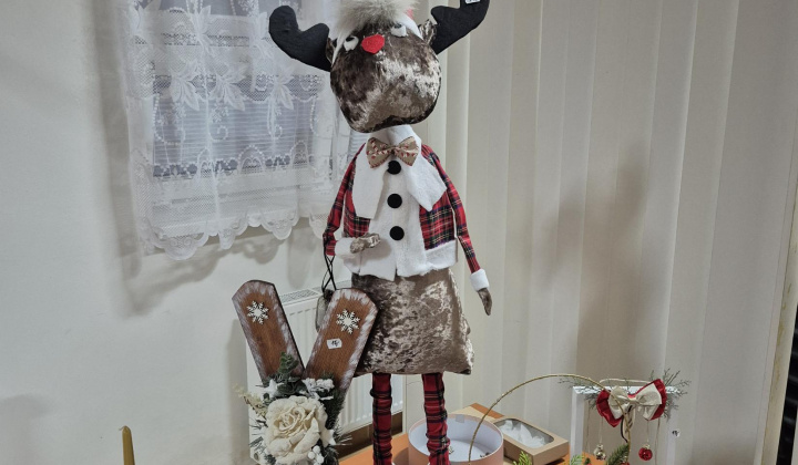 11. fotografia fotogalérie Vianoce 2025